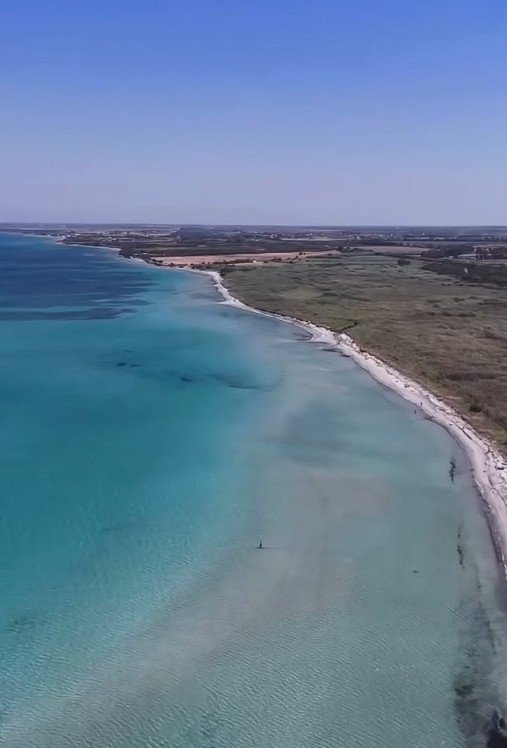 Mare